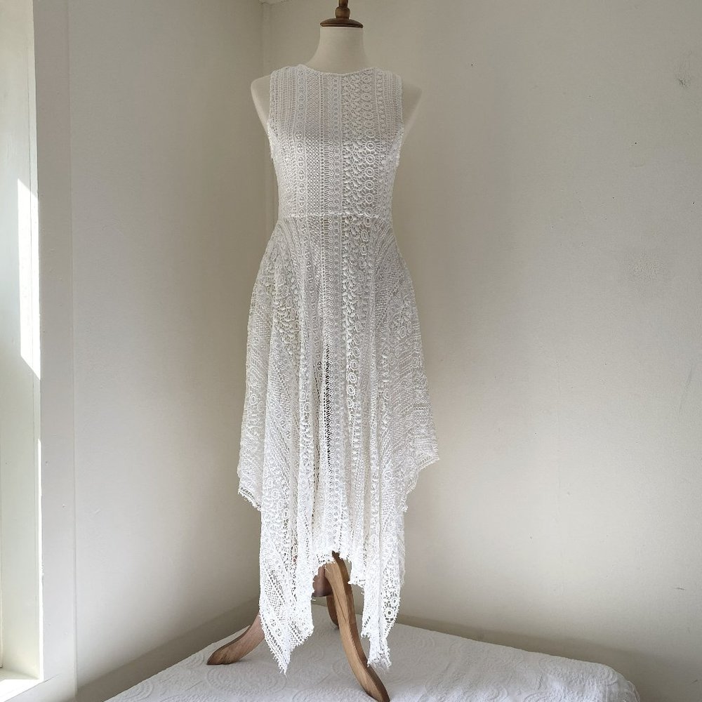 Catherine Malandrino Garden Party Scarf Hem Lace Dress Empire White size 6 NWT